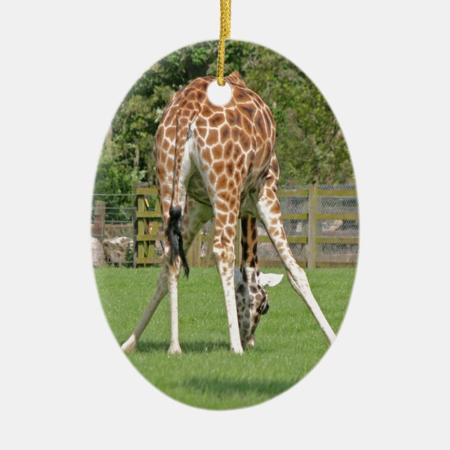 Giraffe Design Ceramic Tree Decoration (Front)