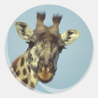 Giraffe Design Stickers