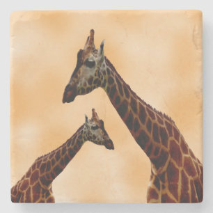 Giraffe Double Trouble, Stone Coaster