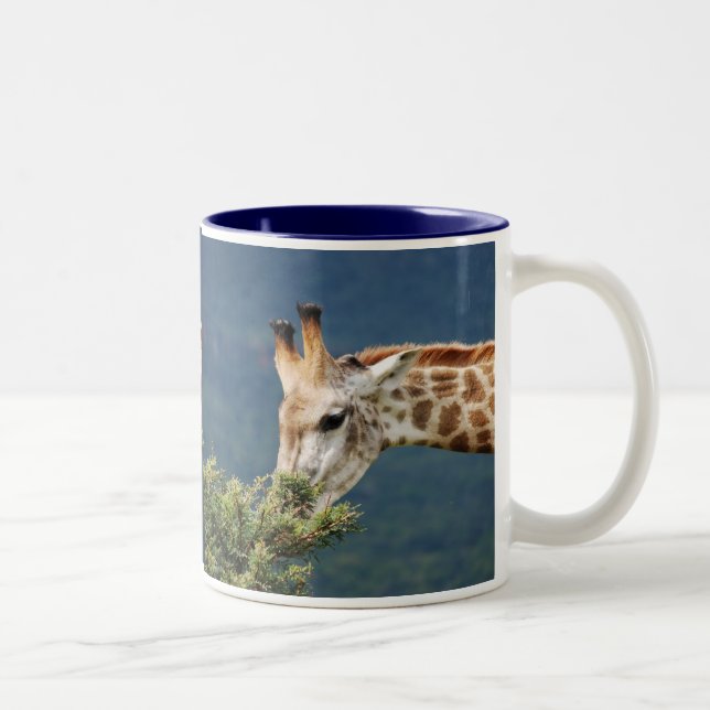 Giraffe eating some leaves Two-Tone coffee mug (Right)