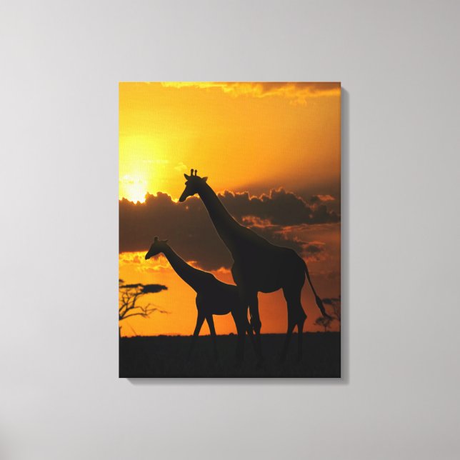 Giraffe Family 2 Canvas Print (Front)