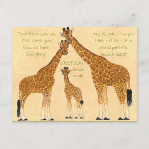 Giraffe Family - Birth Announcement Postcard