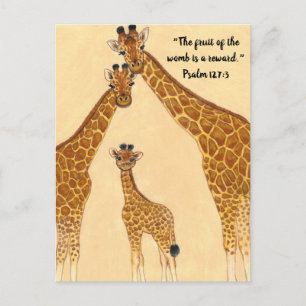 Giraffe Family - Fruit of Womb Postcard