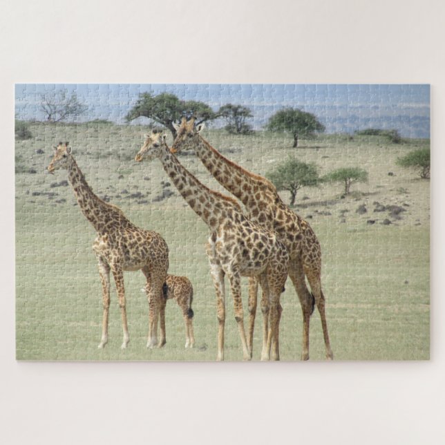 giraffe family jigsaw puzzle (Horizontal)