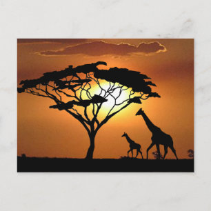 giraffe family postcard