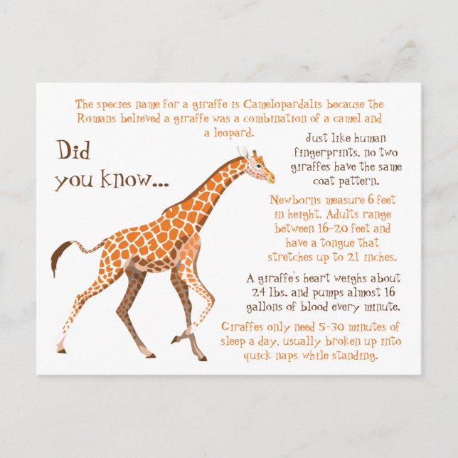 Giraffe Fun Facts Wildlife Postcard (Front)