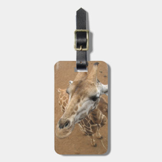 Giraffe Gaze Luggage Tag
