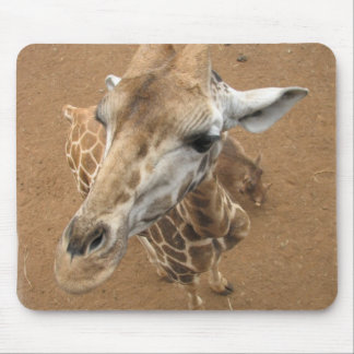 Giraffe Gaze Mouse Pad