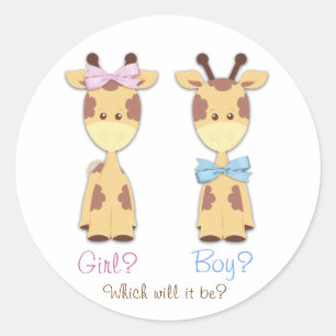 Giraffe Gender Reveal Classic Round Sticker