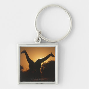 Giraffe (Giraffa camelopardalis) Pair Key Ring