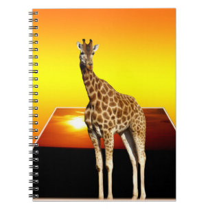 Giraffe Golden Sunshine, Notebook