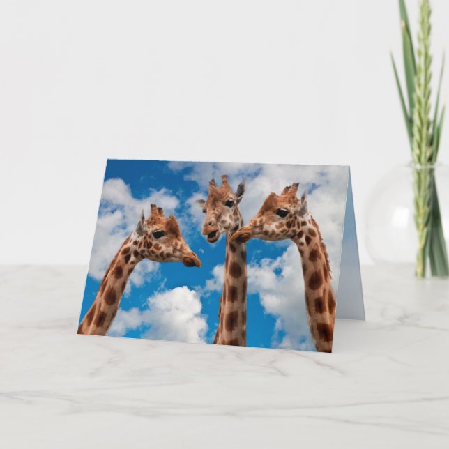 Giraffe Gossip Girls Card (Front)