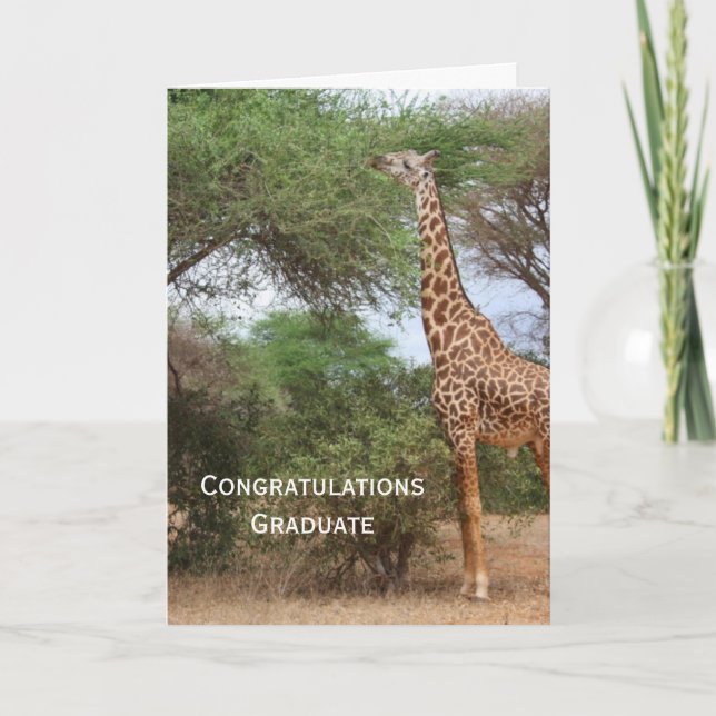 Giraffe Graduation Card (Front)