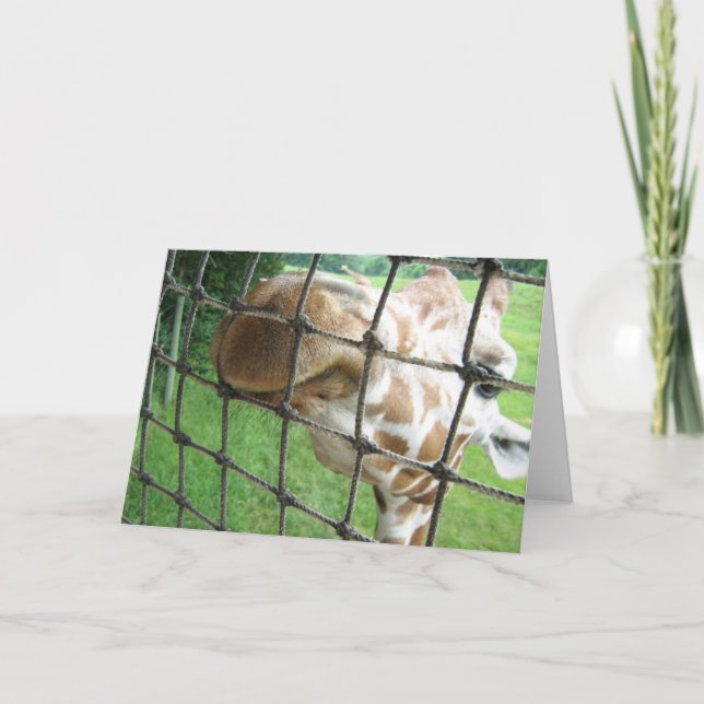 Giraffe Greeting Card (Front)