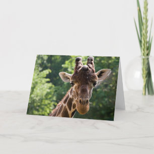 Giraffe • Greeting Card