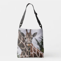 Giraffe head Giraffe fur print African Animal