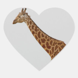Giraffe Heart Sticker