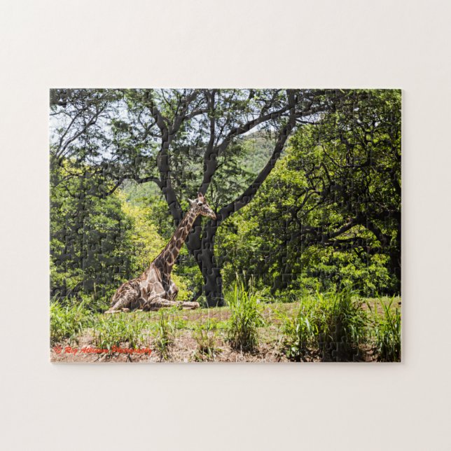 Giraffe Honolulu Zoo Jigsaw Puzzle (Horizontal)
