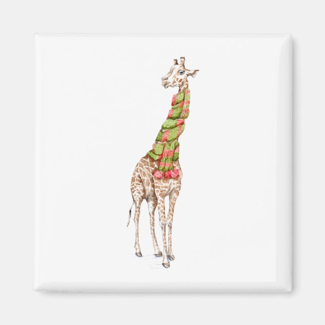 Giraffe in a Scarf Magnet (Front)