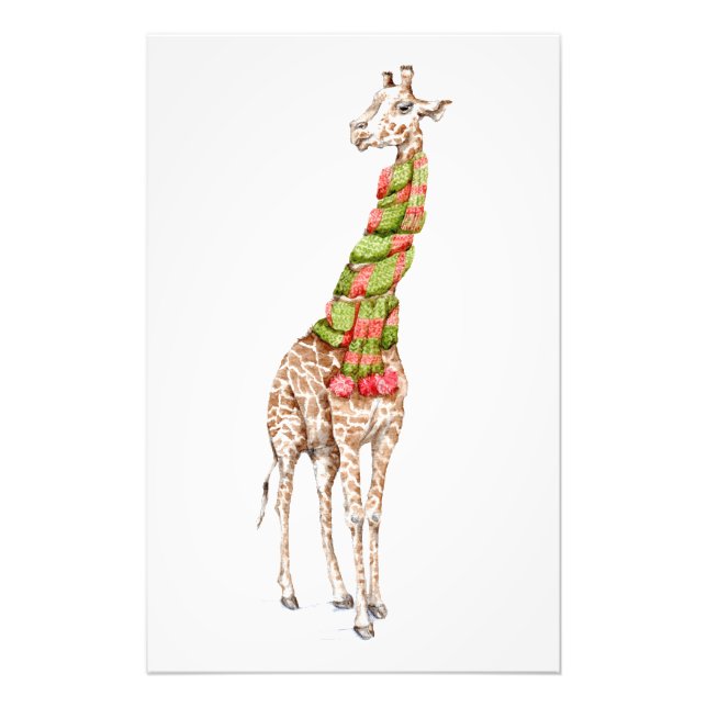 Giraffe in a Scarf Photo Print (Front)
