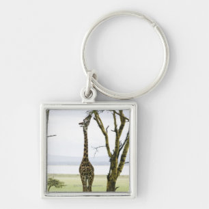 Giraffe in Kenya, Africa Key Ring