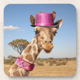 Giraffe in sparkly pink hat coaster