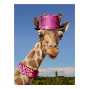 Giraffe in sparkly pink hat poster