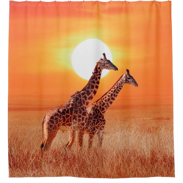 Giraffe in the African savanna against the backdro Shower Curtain (Front)