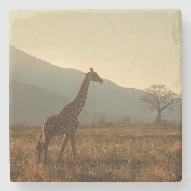 Giraffe in the Savannah Stone Coaster (Front)