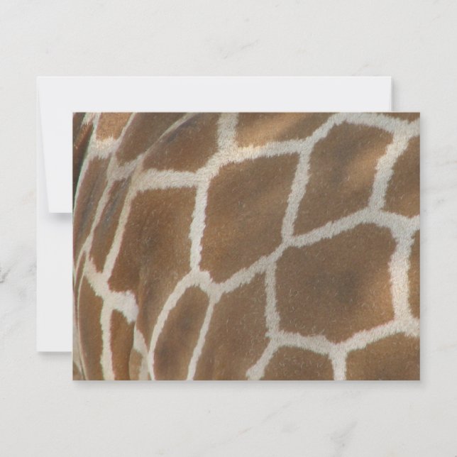 Giraffe Invitation (Front)
