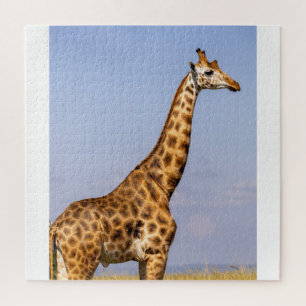 Giraffe jigsaw puzzle