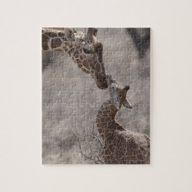Giraffe, Kenya, Africa Jigsaw Puzzle (Vertical)