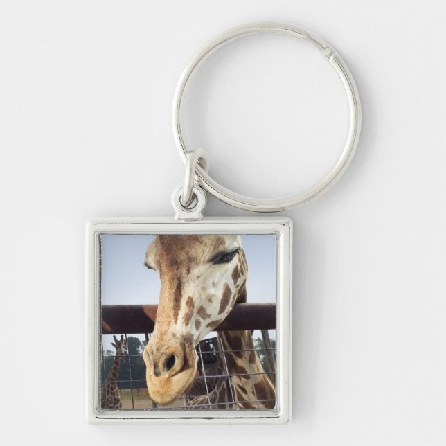 Giraffe Key Ring (Front)