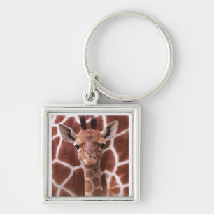 Giraffe Key Ring