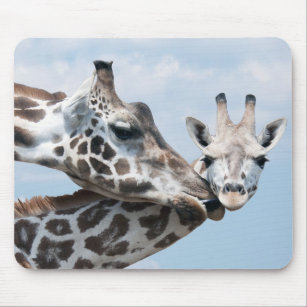 Giraffe Kisses Her Calf Mouse Pad