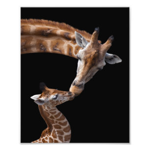 Giraffe Kisses Print
