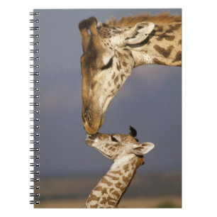 Giraffe Kissing Baby Giraffe Notebook