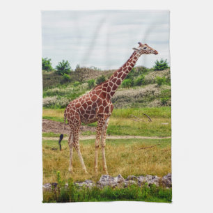 Giraffe Kitchen Towel