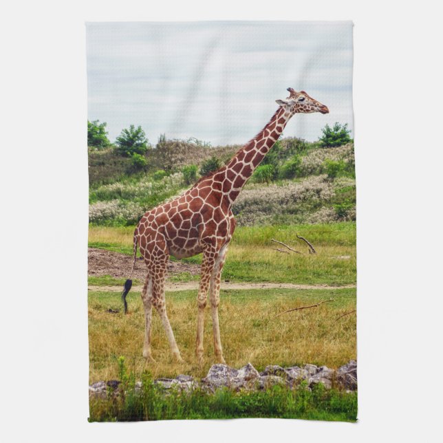 Giraffe Kitchen Towel (Vertical)
