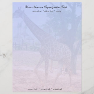 giraffe letterhead template