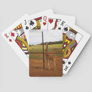 Giraffe Licking His Pole, Playing Cards