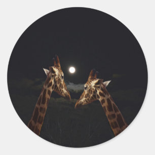 Giraffe Love In The Moonlight, Classic Round Sticker