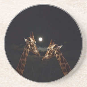 Giraffe Love In The Moonlight, Coaster