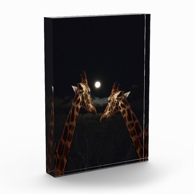 Giraffe Love In The Moonlight,  Photo Block (Left)