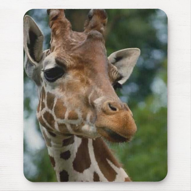 Giraffe Lovers Art Gifts Mouse Pad (Front)