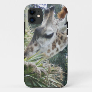 Giraffe Lunch iPhone 5 case