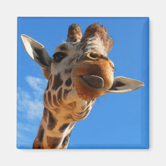Giraffe Magnet