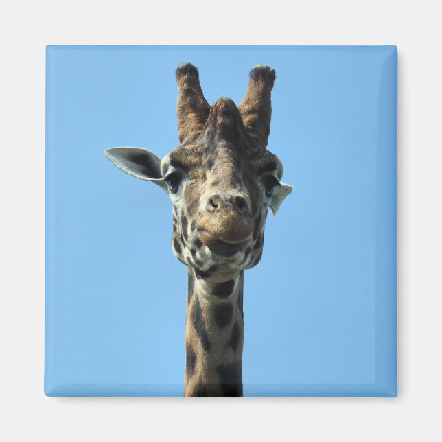 GIRAFFE MAGNET (Front)