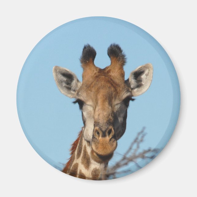 Giraffe Magnet (Front)