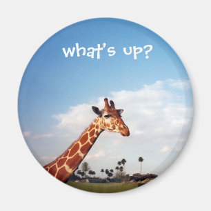 giraffe magnet